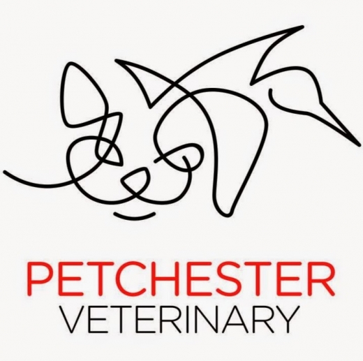 Photo by <br />
<b>Notice</b>:  Undefined index: user in <b>/home/www/activeuser/data/www/vaplace.com/core/views/default/photos.php</b> on line <b>128</b><br />
. Picture for Petchester Veterinary in Eastchester City, New York, United States - Point of interest, Establishment, Veterinary care