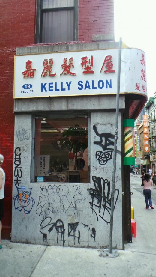 Kelly Hair Salon in New York City, New York, United States - #2 Photo of Point of interest, Establishment, Beauty salon