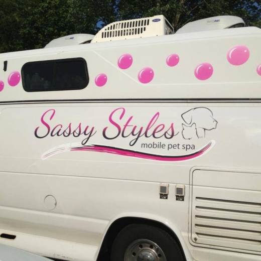 Photo by Sassy Styles Mobile Pet Spa for Sassy Styles Mobile Pet Spa