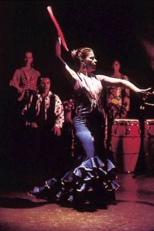 Flamenco Latino Studio Theater in New York City, New York, United States - #2 Photo of Point of interest, Establishment