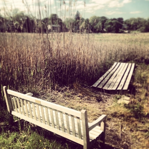 Otter Creek in Mamaroneck City, New York, United States - #3 Photo of Point of interest, Establishment, Park