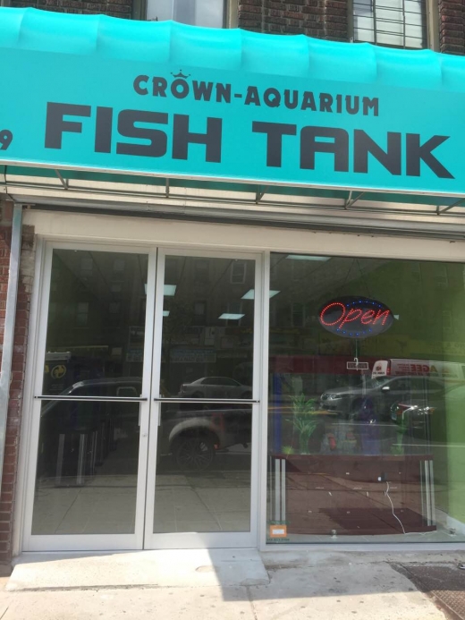 Crown Aquariums in Queens City, New York, United States - #1 Photo of Point of interest, Establishment, Store, Pet store