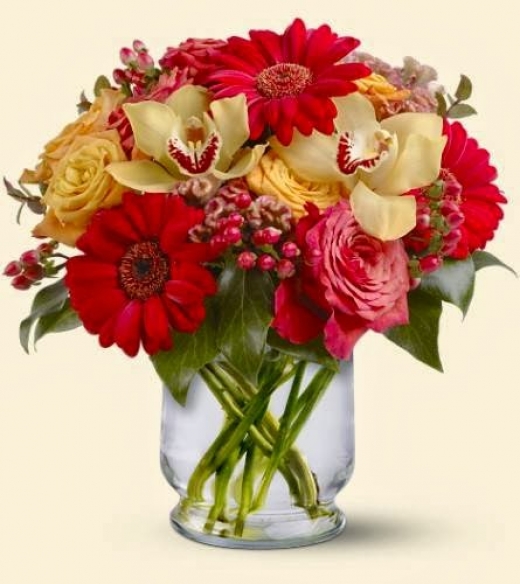 Photo by <br />
<b>Notice</b>:  Undefined index: user in <b>/home/www/activeuser/data/www/vaplace.com/core/views/default/photos.php</b> on line <b>128</b><br />
. Picture for All Occasion Florist in Hoboken City, New Jersey, United States - Point of interest, Establishment, Store, Florist